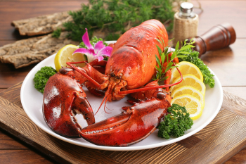 _2021-11-16_15_03_Ur my lobster Misti.jpg